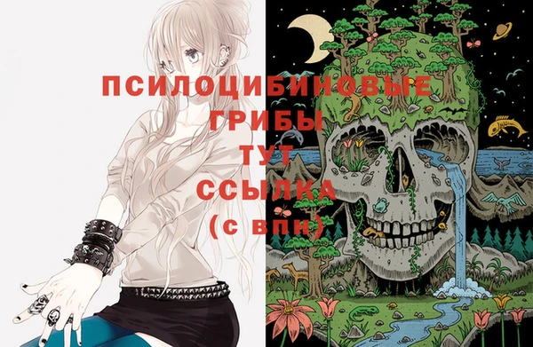 гашишное масло Верея