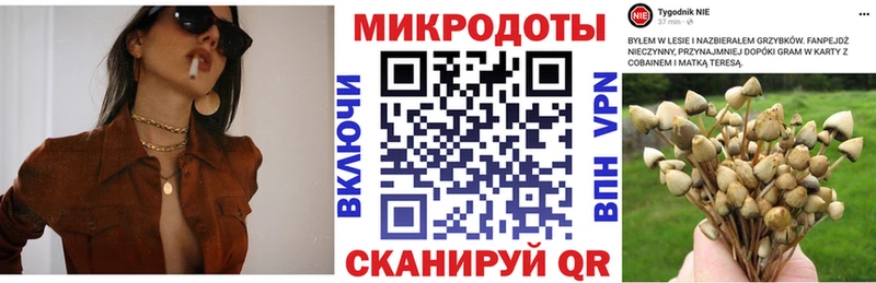Галлюциногенные грибы Psilocybe  гидра зеркало  Каневская 